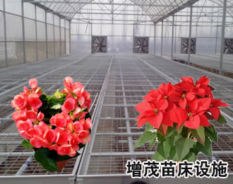 盆景網(wǎng)片.jpg